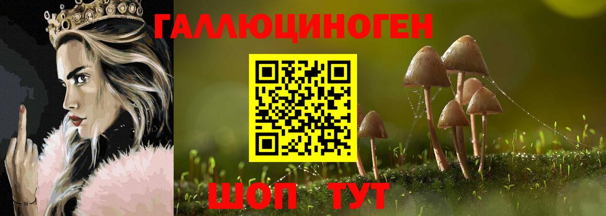 Псилоцибиновые грибы Psilocybine cubensis Майкоп